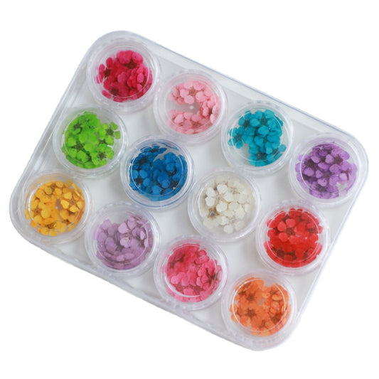 NDE051 ForLife Creative Nail Art Pressed Dry Flower Nature Dried Flowers Japanese daffodil flower nail art