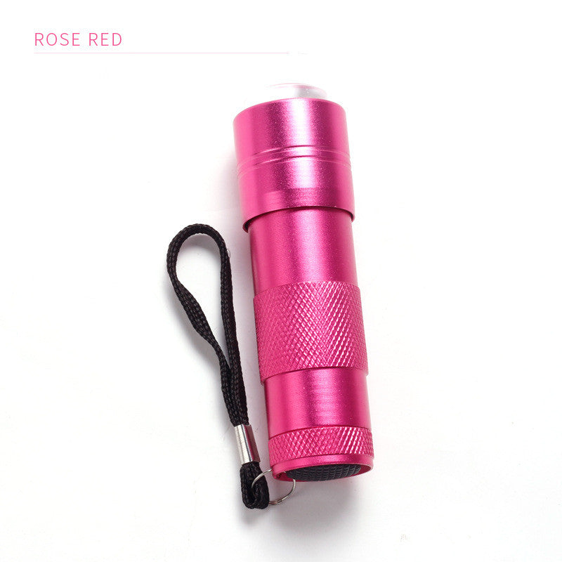 FNL005 New Portable Mini Hand-held light therapy Lamp Curing Dry Flower Embossed Sequin Sticker Special Nail Silicone Handheld Lamp