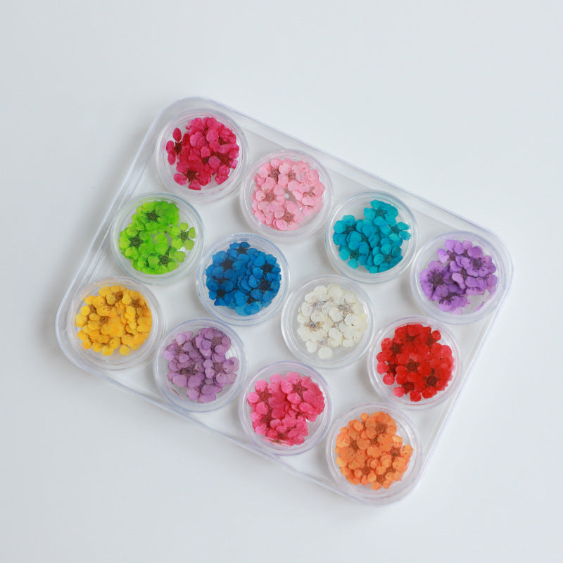 NDE051  ForLife Creative Nail Art Pressed Dry Flower Nature Dried Flowers Japanese daffodil flower nail art